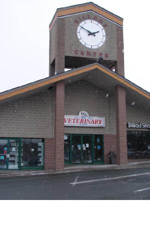 Bedford Animal Hospital - Bedford